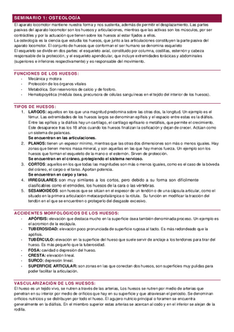 SEMINARIOS-ANATOMIA.pdf