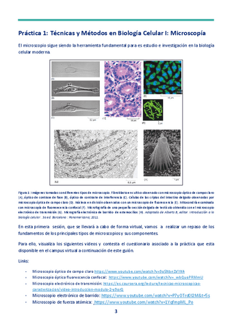 Cuaderno-PRACTICAS-nuevo-2023-BIOLOGIA-CELULAR-1-13.pdf