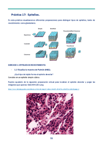 Cuaderno-PRACTICAS-nuevo-2023-HISTOLOGIA-17-23.pdf