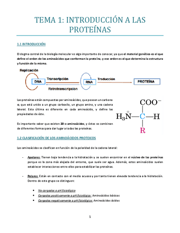 TEMA-1-bueno.pdf