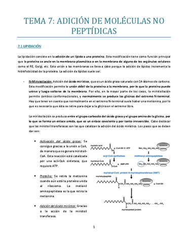 Tema-7-bueno.pdf