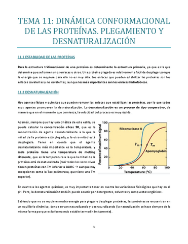 TEMA-11-bueno.pdf