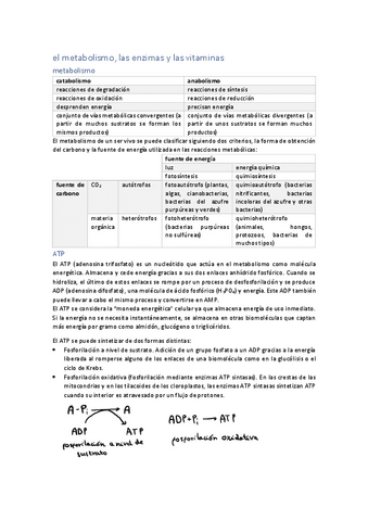 unidad-9-el-metabolismo-las-enzimas-y-las-vitaminas.pdf