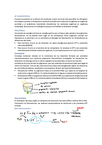 unidad-11-el-anabolismo.pdf