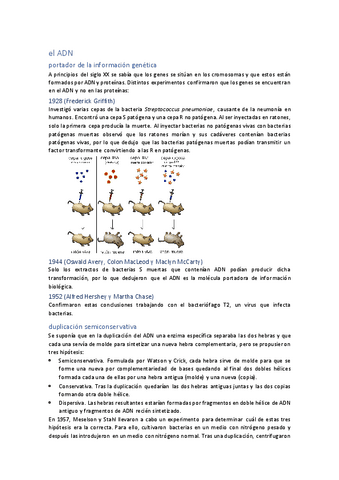 unidad-14-ADN.pdf