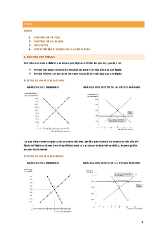 TEMA-3.pdf