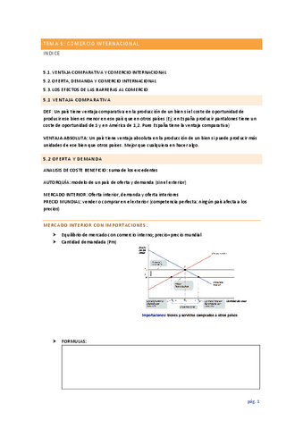 TEMA-5.pdf