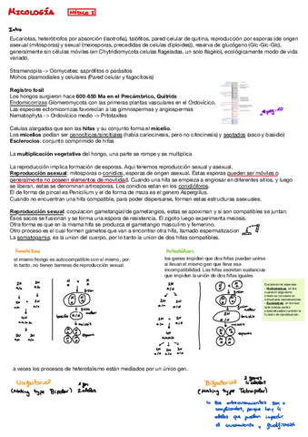 Apuntes-Micologia.pdf