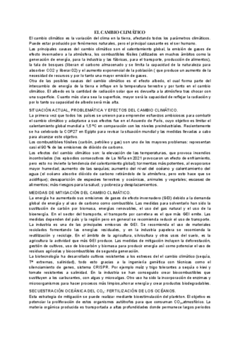 Resúmenes Seminarios.pdf