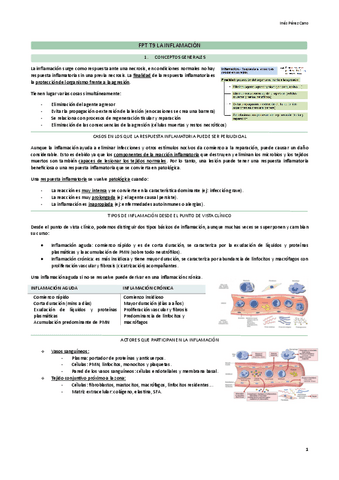 FPT-T8-La-inflamacion.pdf