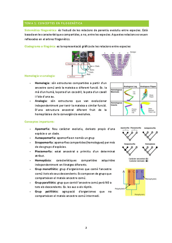 ampli-zoo-1r-parcial.pdf