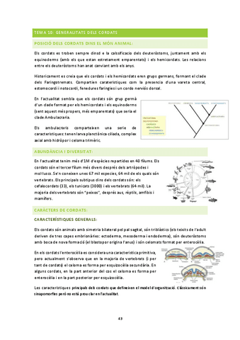 ampli-zoo-2n-parcial.pdf