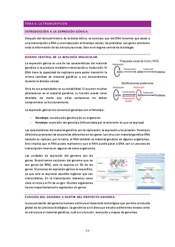 genetica-molecular-2n-parcial.pdf