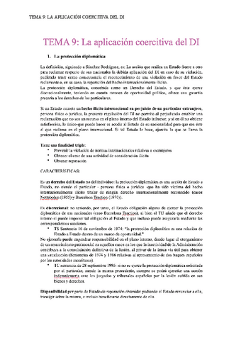 TEMA-9-LA-APLICACION-COERCITIVA-DEL-DI.pdf
