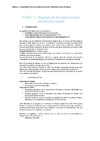 TEMA-11-REGIMEN-DE-LOS-ESPACIOS-BAJO-JURISDICCION-ESTATAL.pdf