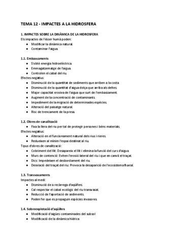 12-IMPACTES-A-LA-HIDROSFERA.pdf