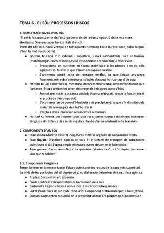 6-EL-SOL-PROCESSOS-I-RISCOS.pdf