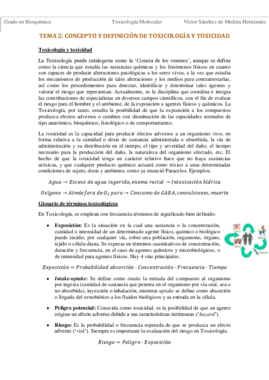 Tema 2. Conceptos VSM.pdf