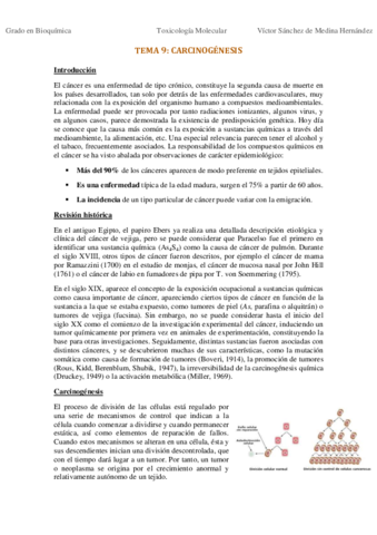 Tema 9 . Carcinogénesis VSM.pdf