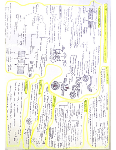 Membranes-i-organuls-membranosos.pdf