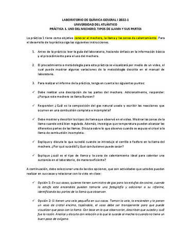 Practica-1.-Uso-del-mechero.-1.pdf