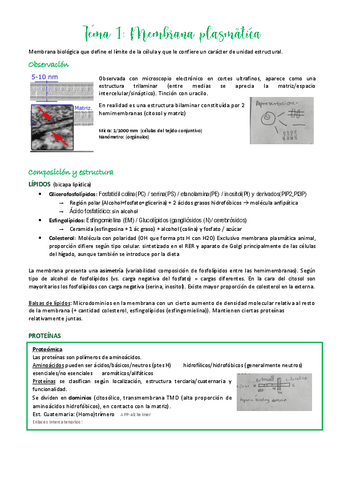 Tema-1.pdf