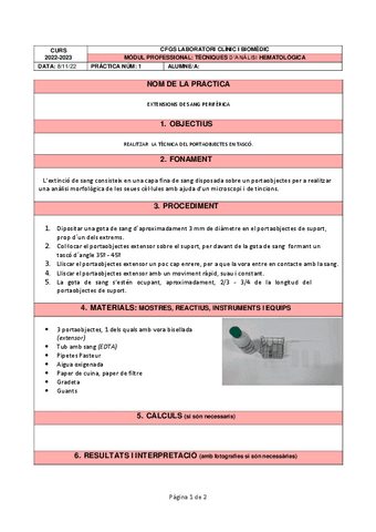 PRACTICA 1 FROTIS.pdf
