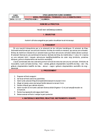PRACTICA 2 M-G.pdf