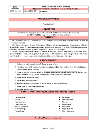 PRACTICA 3 Wright.pdf