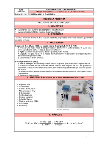 PRACTICA 4 RBC.pdf
