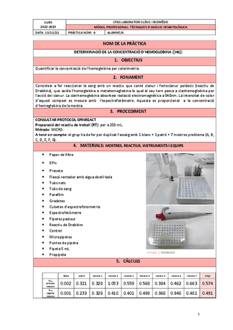 PRACTICA 6 Hb.pdf