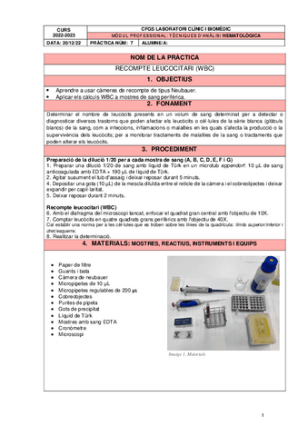 PRACTICA 7 WBC.pdf