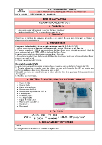PRACTICA 10 PLT.pdf