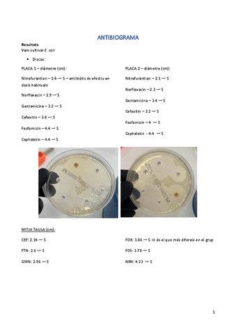 ANTIBIOGRAMA.pdf