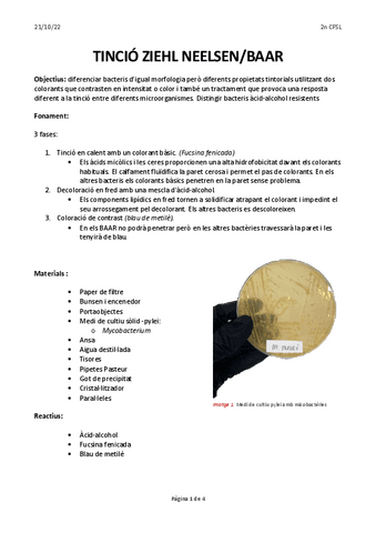 practica-ziehl-neelsen.pdf