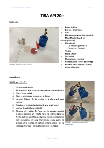 tira-apie.pdf