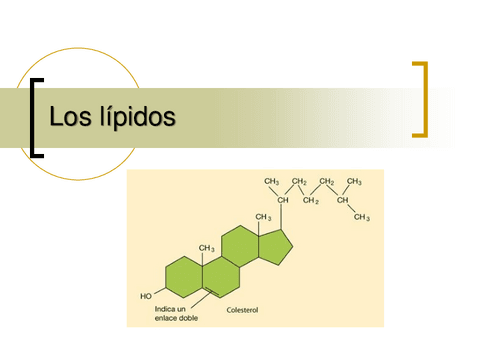 LIPIDOS-2022.pdf