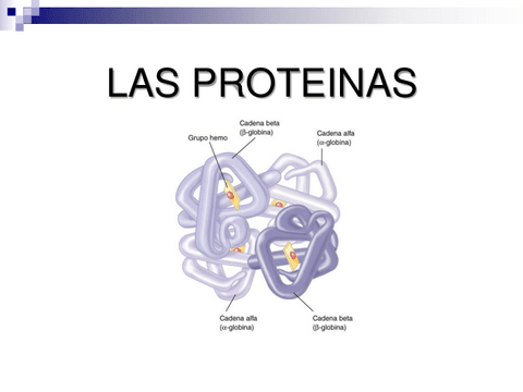 PROTEINAS-2022.pdf