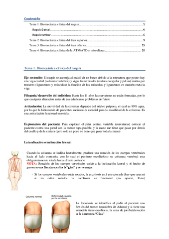 Apuntes-clases.pdf