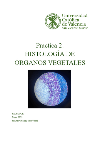 practica-2-fisio.pdf
