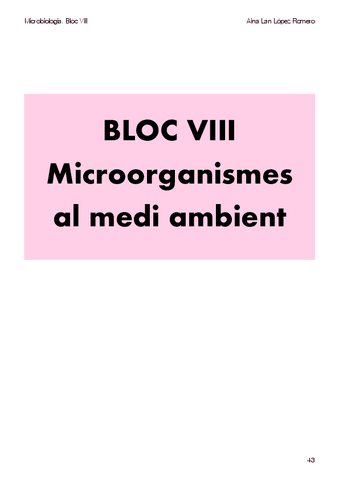 Bloc-VIII.pdf