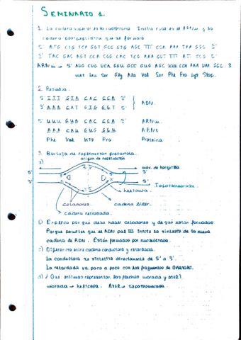 problemas-genetica-1.pdf