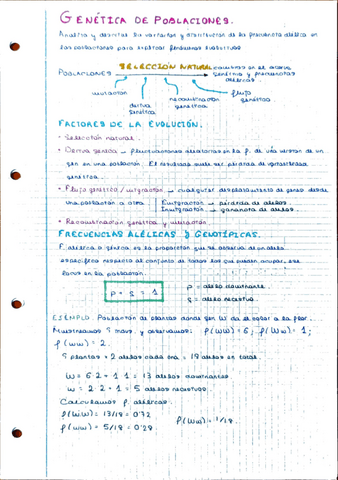 problemas-genetica-3.pdf