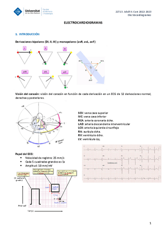 ADULT-II-ECG-1.pdf