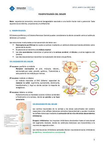 ADULT-II-TEMA-1.pdf