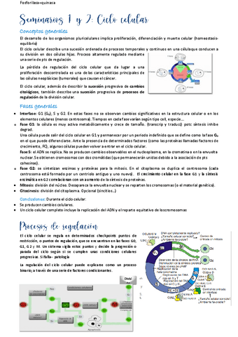 Seminarios-1-2.pdf