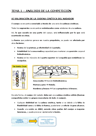 Tema-1-Analisis-de-la-competicion.pdf