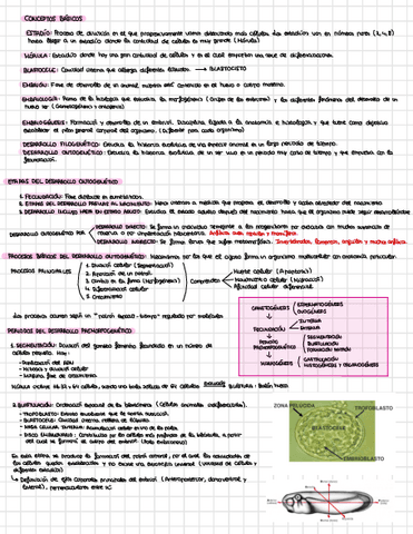 Tema-1-Esq.pdf