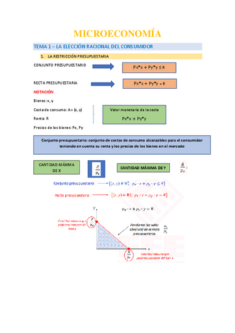 TEMA-1-Microeconomia-Marketing-2324.pdf