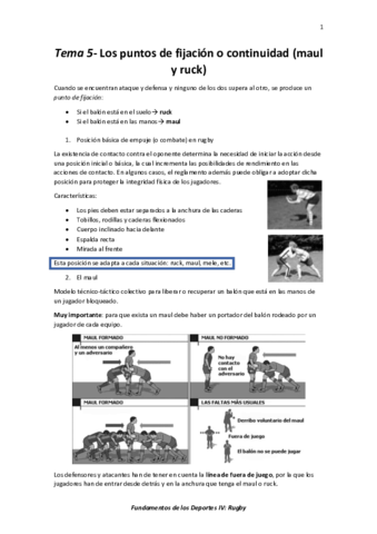 Tema 5- Los puntos de fijación o continuidad (maul y ruck).pdf